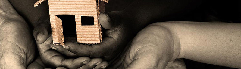 560337_c19b82c50c7c42daa07c3515d2723156